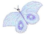 15-butterfly-JPEG